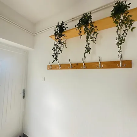 Wood & Moss - - Free Parking - Garden *