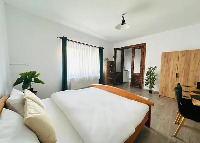 아파트 Wood & Moss - - Free Parking - Garden 클루지나포카